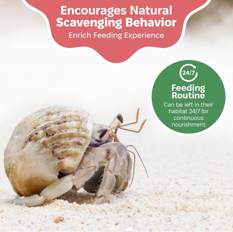 Snout and Shell Hermit Crab Greensand Supplement – Calcium and Trace Mineral Molting Support – Non-GMO, Auto Feeder Friendly, Inert Powder Formula – Natural, USA-Sourced Nutrients – Compatible with All Crabitats - Image 3